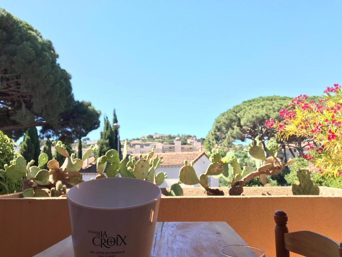 Cosy Deux Pieces Pour 4 Personnes En Centre Ville Classe Cavalaire-sur-Mer Ngoại thất bức ảnh